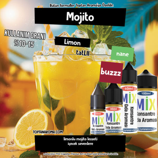 Mojito Mojito